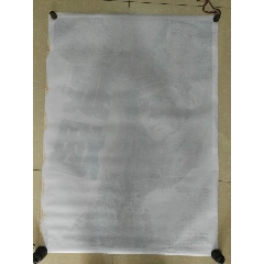 执业药师注册证高仿版本